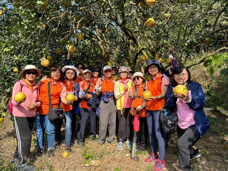 志工及同仁於柚子園拿著剛採下的柚子合照
