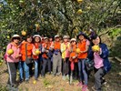 志工及同仁於柚子園拿著剛採下的柚子合照