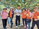 志工及老闆於柚子園拿著剛採下的柚子合照